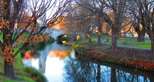 Is Insurance Really Necessary?