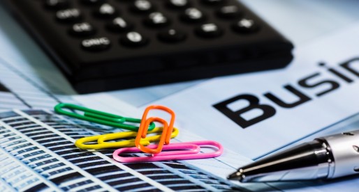 The Pros and Cons of Different Business Ownerships: Prospective Entrepreneurs Should Consider Several Alternatives