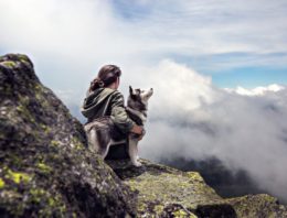 Financial Benefits of Dog Walking