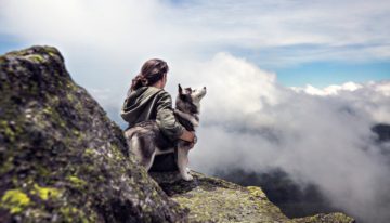 Financial Benefits of Dog Walking