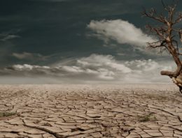 How climate change will affect UK business and economy?